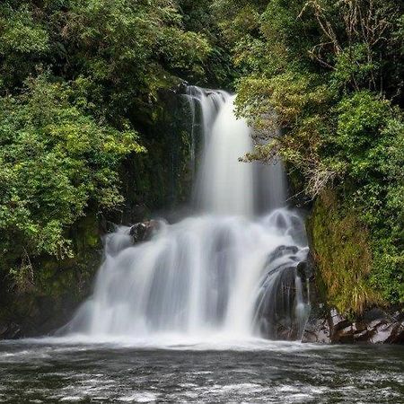 Blackfern Lodge Waimiha Dış mekan fotoğraf